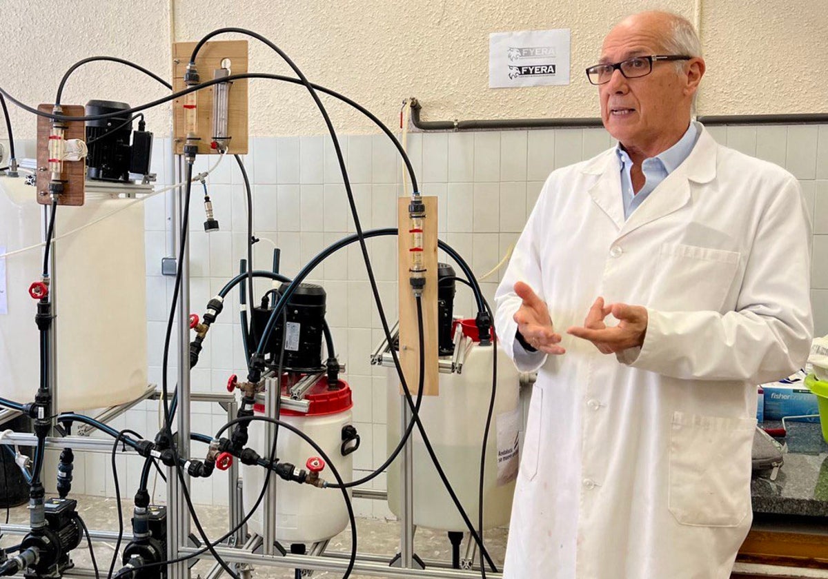 Luis Esquivias ha desarrollado este proceso de transformación en la Universidad de Sevilla.