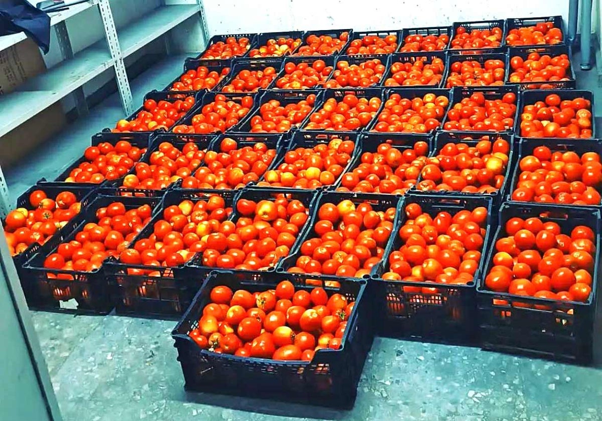 Los tomates tras ser requisado y antes de ser destuidos