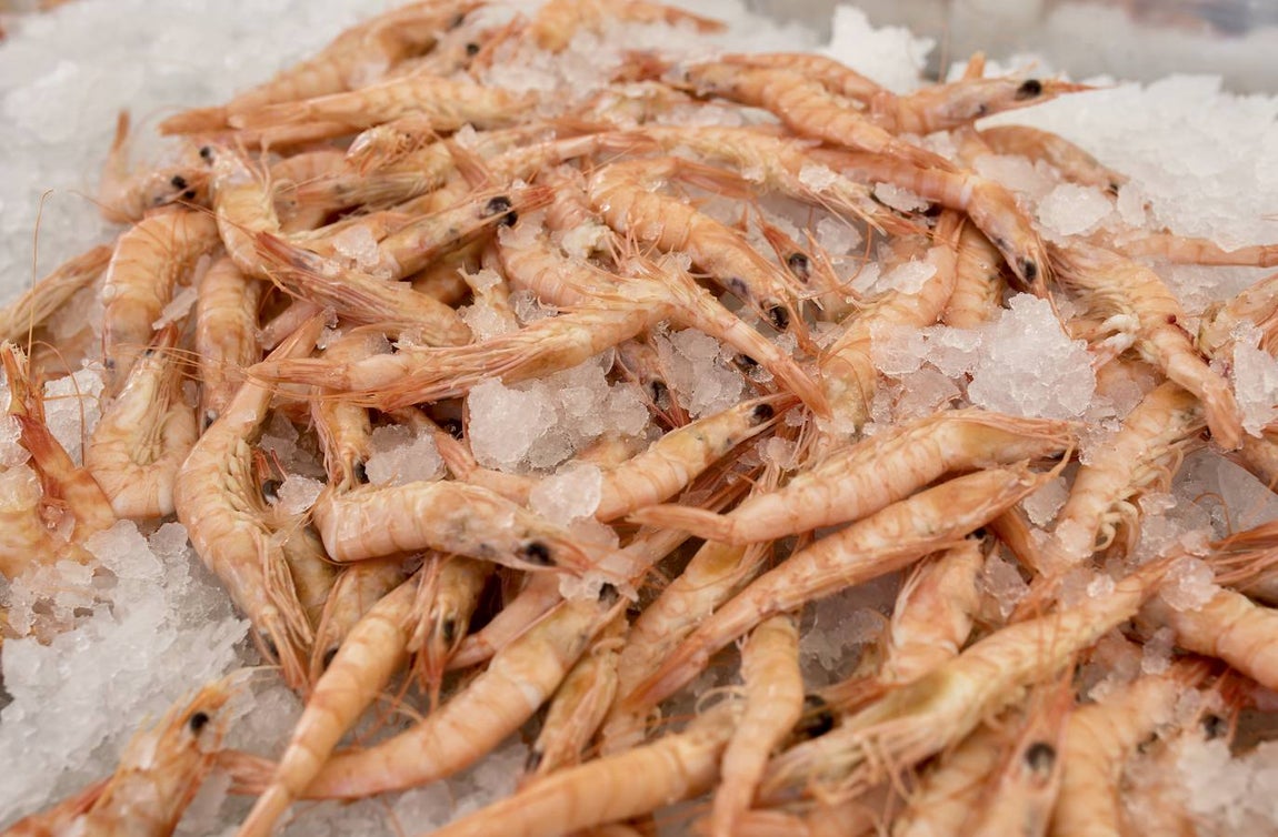 Las imágenes de la Feria de la Tapa de Huelva 2023: así ha sido la inauguración