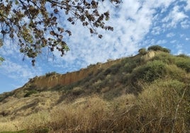 El Parlamento andaluz insta a la Junta a ampliar la Zona Arqueológica e impulsar la actividad en los cabezos de Huelva