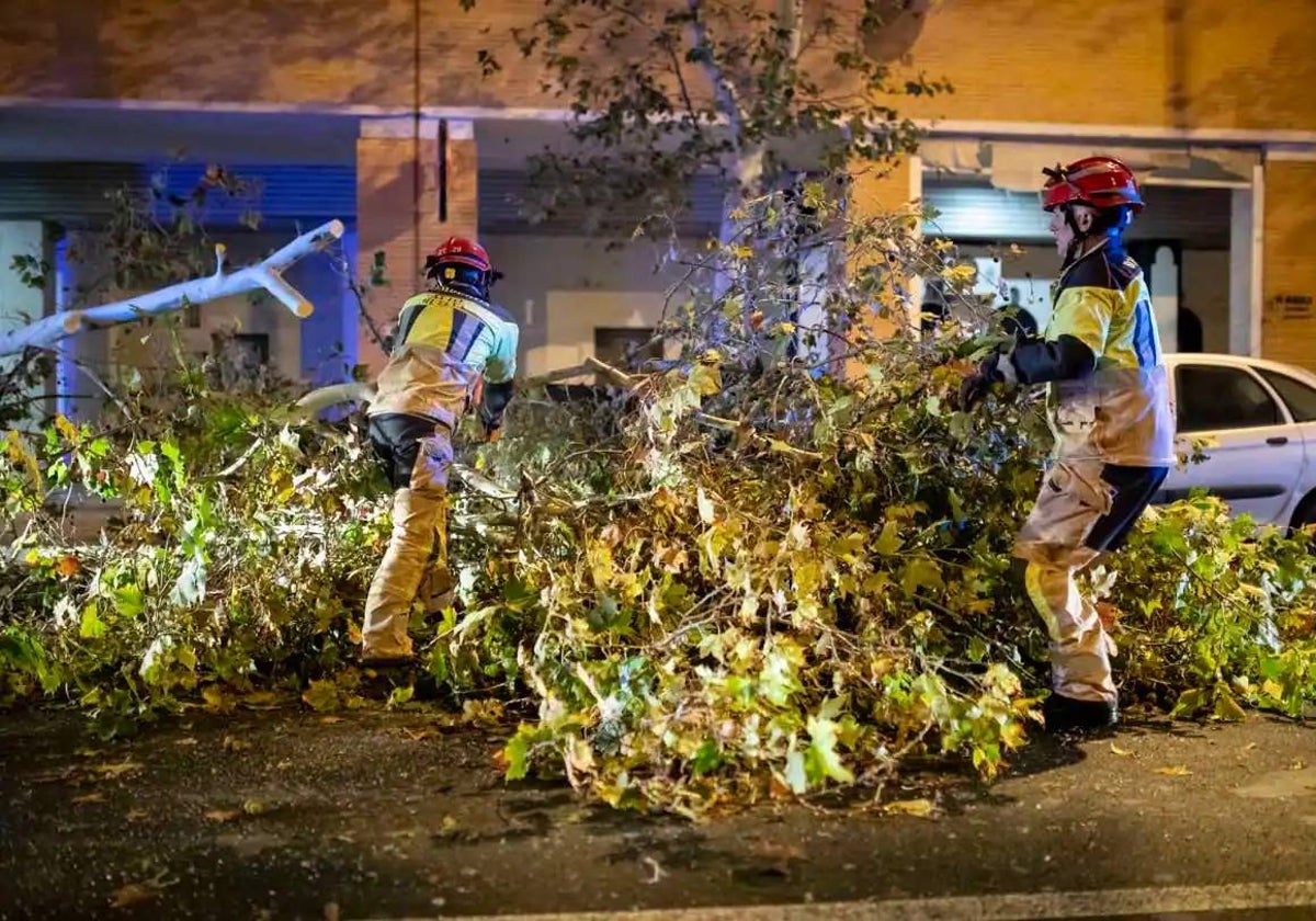 Bomberos trabajan en la retirada de árboles caídos en Huelva capital