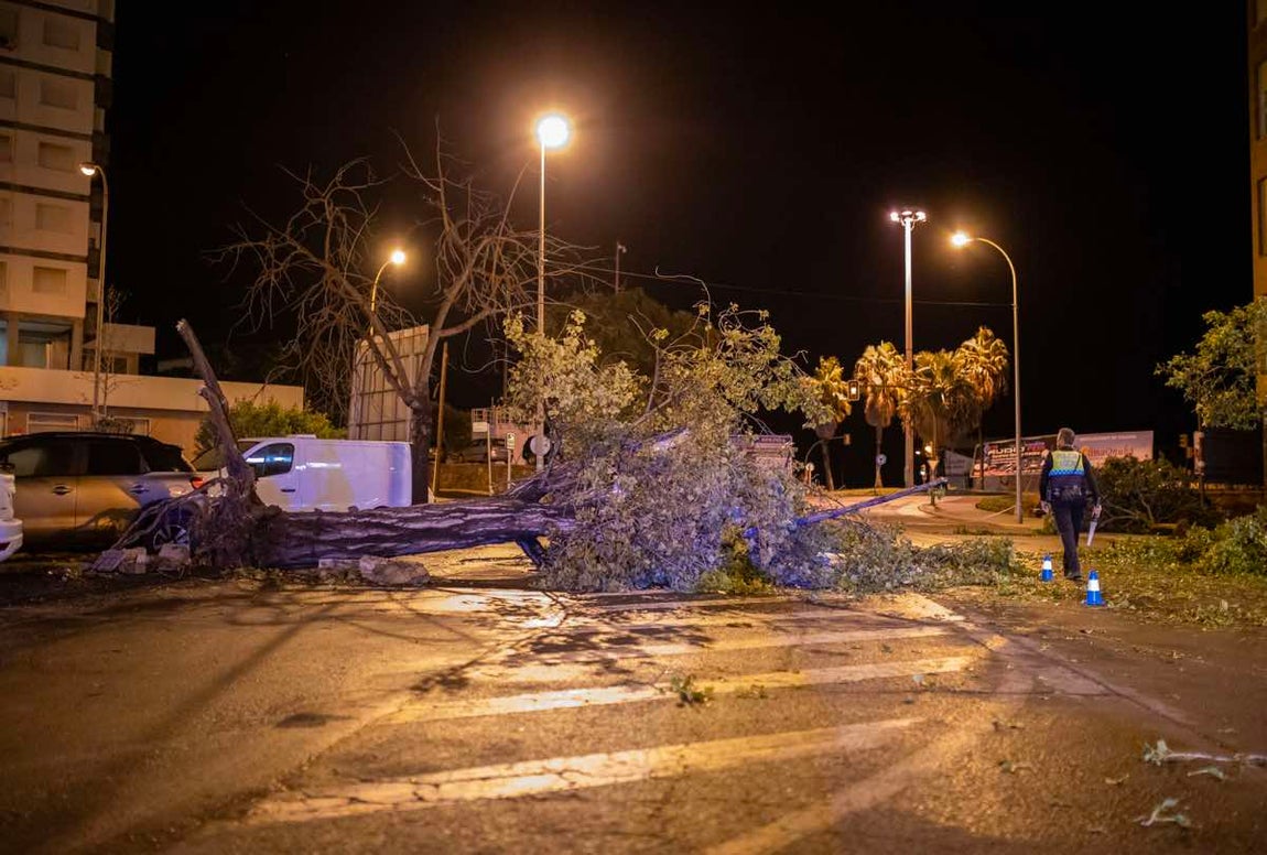 El desolador estado de Huelva capital tras el paso de &#039;Bernard&#039;