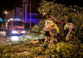 El desolador estado de Huelva capital tras el paso de 'Bernard'
