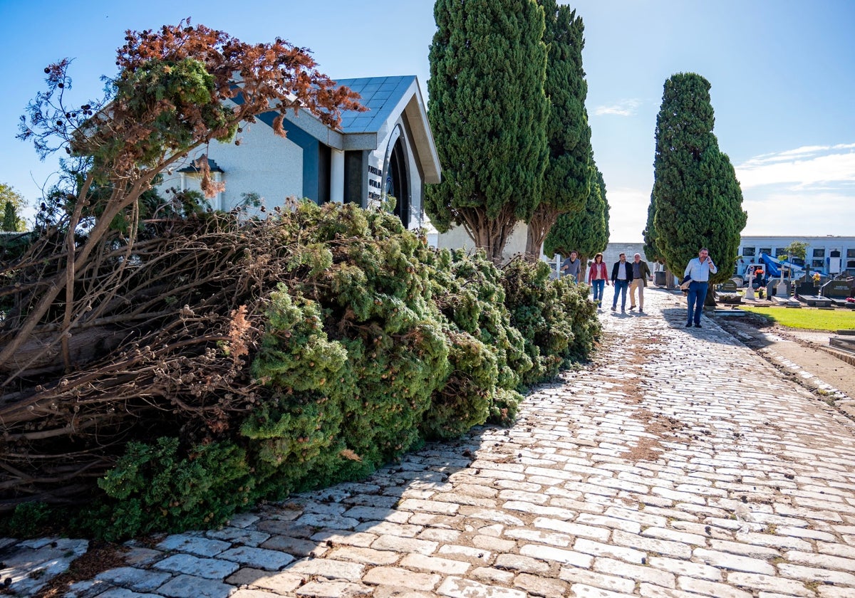 Estado del cementerio de Huelva tras el paso de la borrasca 'Bernard'