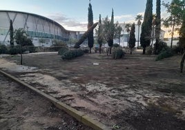 El Banco Santander habilita una línea de 120 millones para los afectados por la borrasca 'Bernard' en Huelva