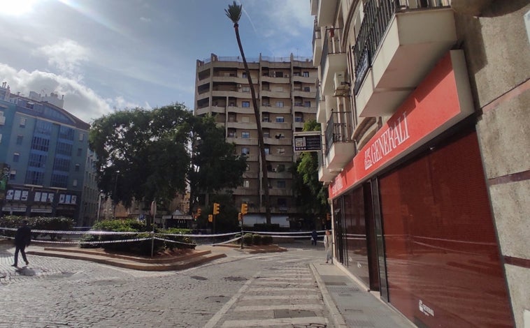 Imagen principal - La original idea de un onubense para homenajear a la palmera: plasmar su sombra en el suelo como línea del tiempo