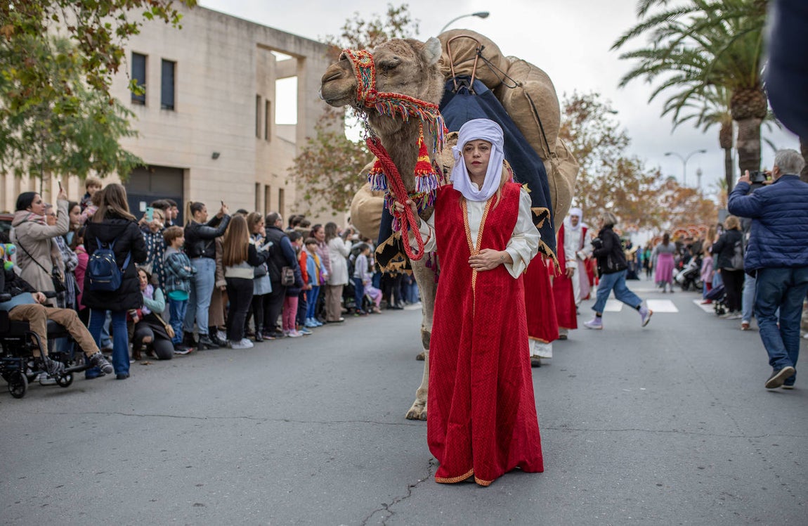Uno de los camellos que ha participado en la comitiva