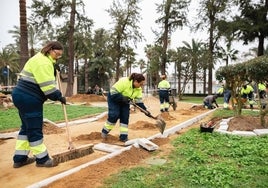 El Ayuntamiento contrata a temporeras del campo residentes en Huelva para realizar actuaciones de mejora en distintos espacios públicos