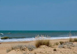 La playa del Espigón podría tener un chiringuito a partir de este verano