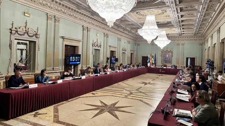 Imagen del pleno celebrado este miércoles