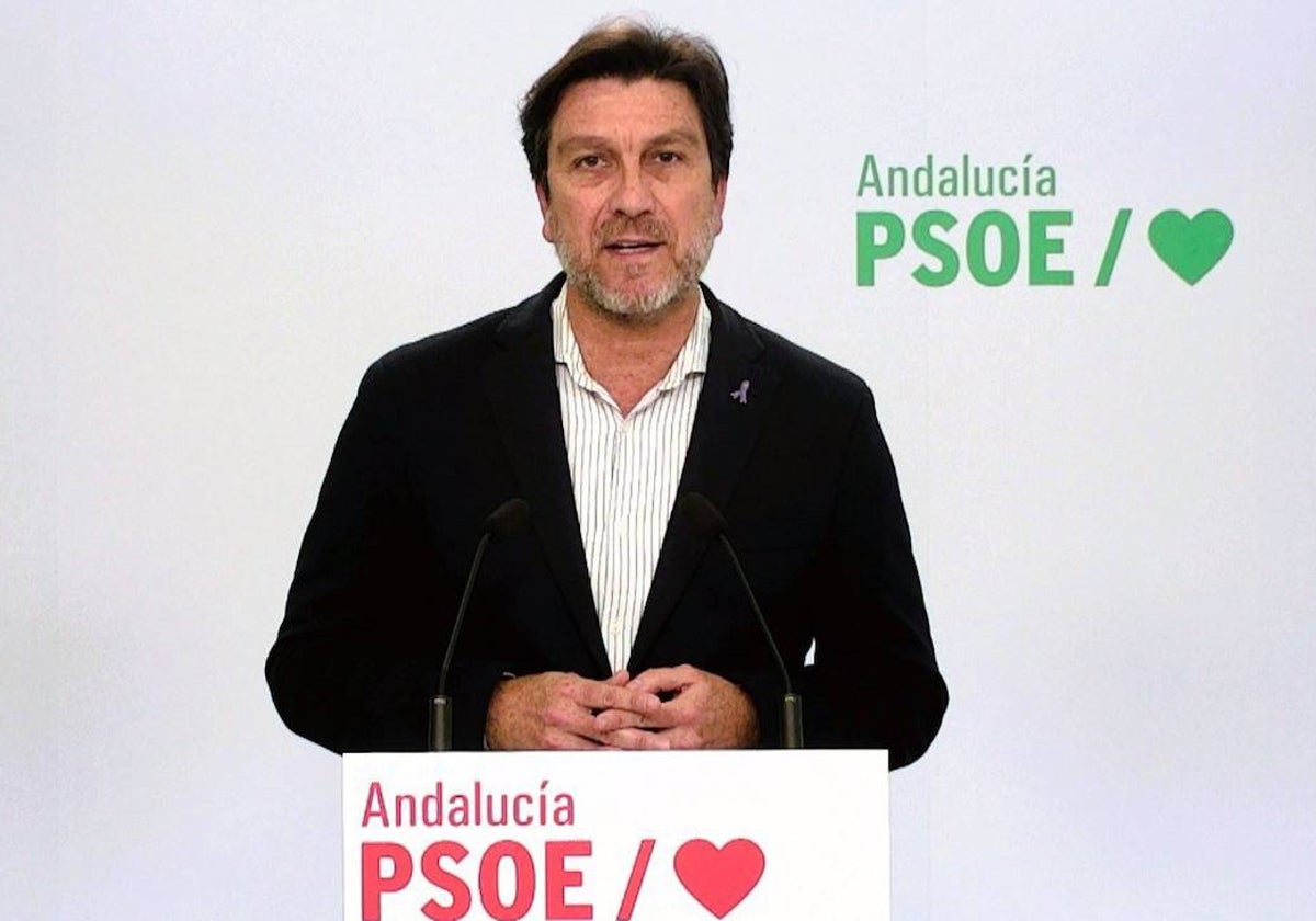 El portavoz del PSOE de Huelva y parlamentario andaluz, Enrique Gaviño