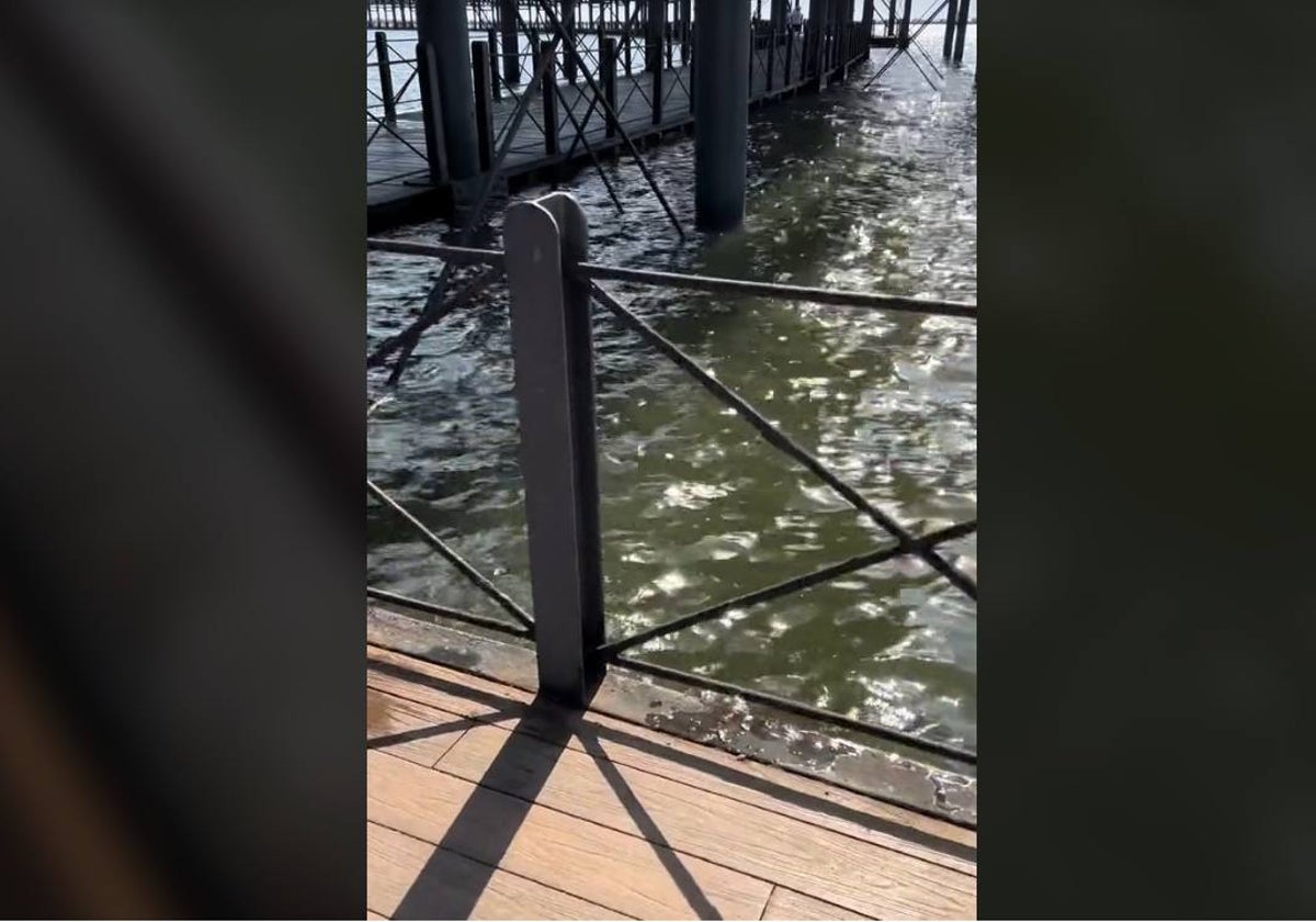 Así estaba la marea en el Muelle del Tinto de Huelva: «Nunca la había visto así»