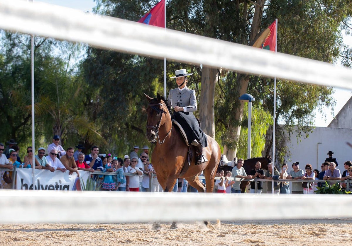 La programación de la feria volverá a girar en torno al mundo del caballo