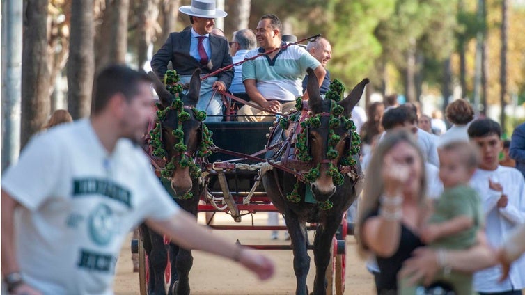 El sol ilumina la despedida de una Feria de Otoño y del Caballo de Huelva que «irá a más»