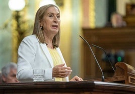 La exministra Ana Pastor amadrinará el día del patrón del Colegio de Médicos de Huelva