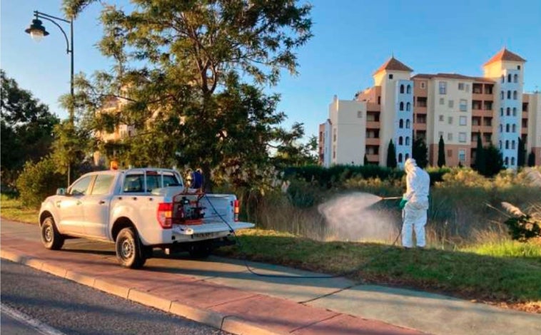 Imagen principal - Sólo un 4,41% de las especies de mosquitos capturados en Huelva pueden transmitir el virus del Nilo