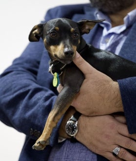 Imagen secundaria 2 - Nace en Huelva una patrulla canina para acompañar a las víctimas más vulnerables en los juzgados