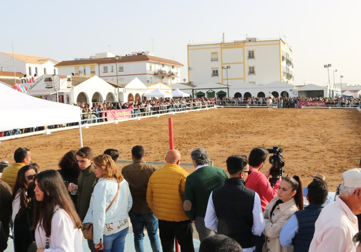 Durante la Feria del caballo de Cartaya