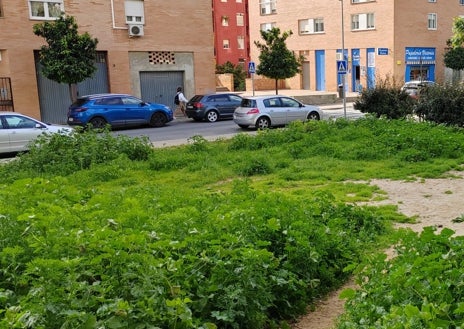 Imagen secundaria 1 - El arenero en el parque infantil de Huerto Paco y varios solares de la barriada