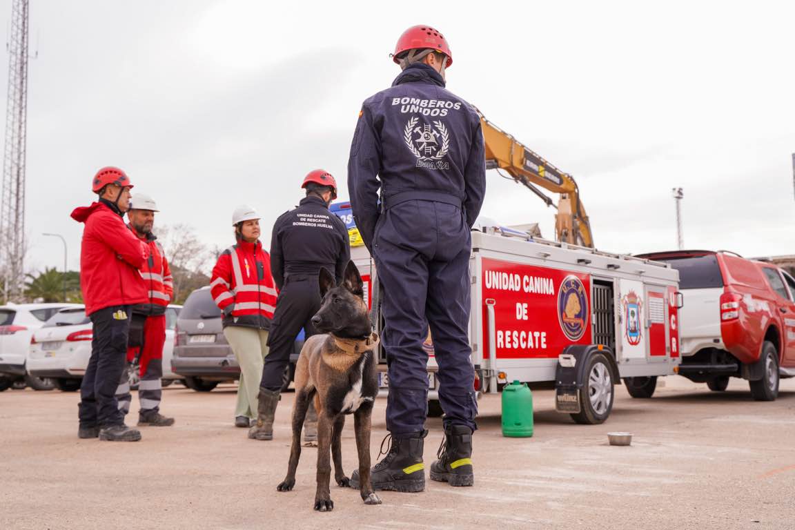 Escuela canina de rescate en los escombros de Expofrisa