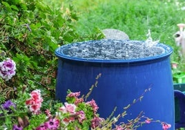 Tu ahorro de agua no es suficiente si no la reutilizas: te explicamos cómo