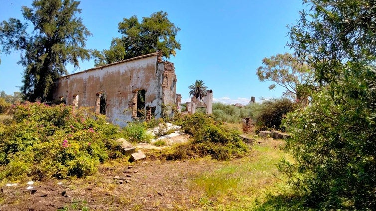 Un recorrido por las ruinas de la antigua fábrica de Tejero, conservera onubense de referencia en España