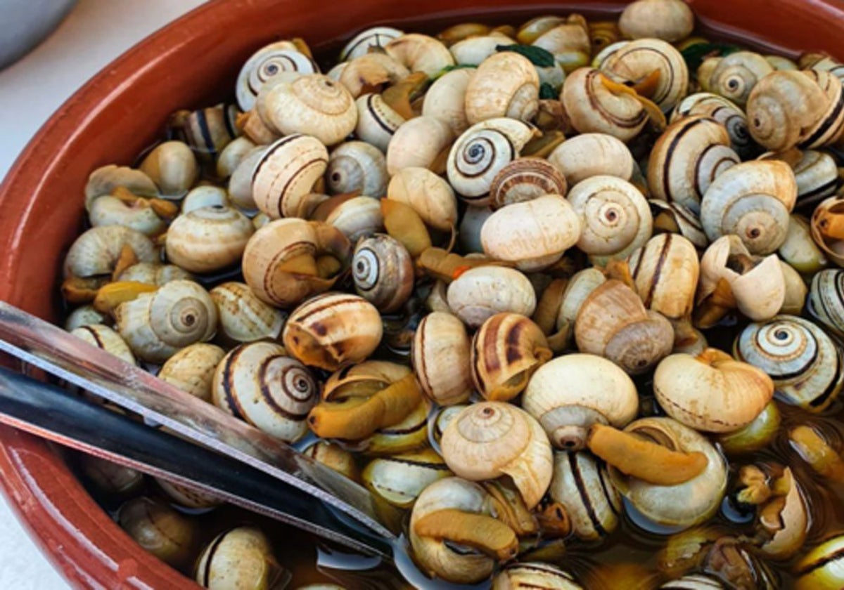 Huelva celebra este fin de semana su II Feria del Caracol