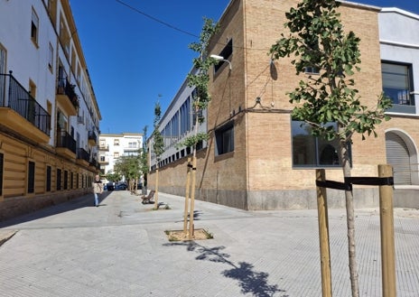 Imagen secundaria 1 - Bosque Erasmus y dos puntos de la ciudad con nuevos árboles