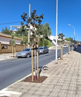 Imagen secundaria 2 - Bosque Erasmus y dos puntos de la ciudad con nuevos árboles