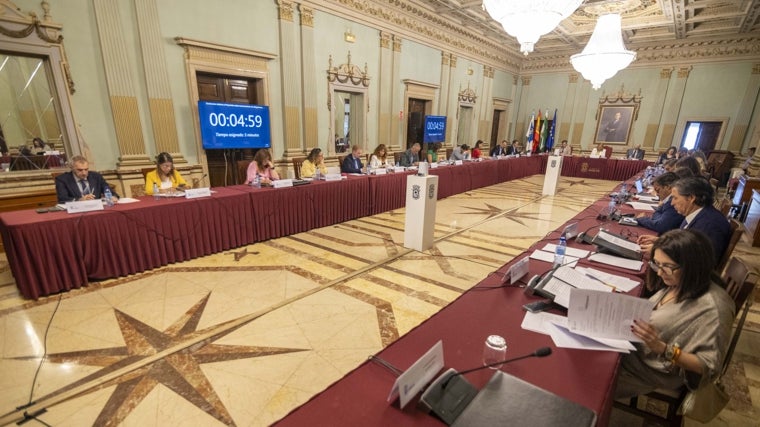Imagen del pleno celebrado este viernes