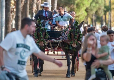 Guía de la Feria del Caballo de Huelva 2025: fechas, programación, mapa y casetas