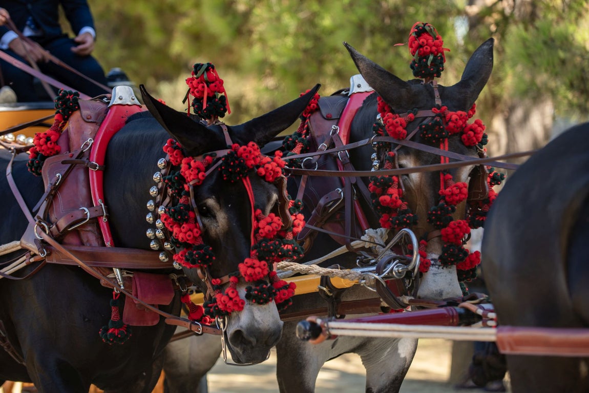 Las mejores imágenes del paseo de enganches de la Feria del Caballo de Huelva
