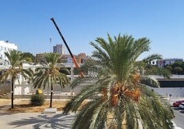 Vista de los trabajos en el parque comercial desde una de las viviendas de reciente construcción
