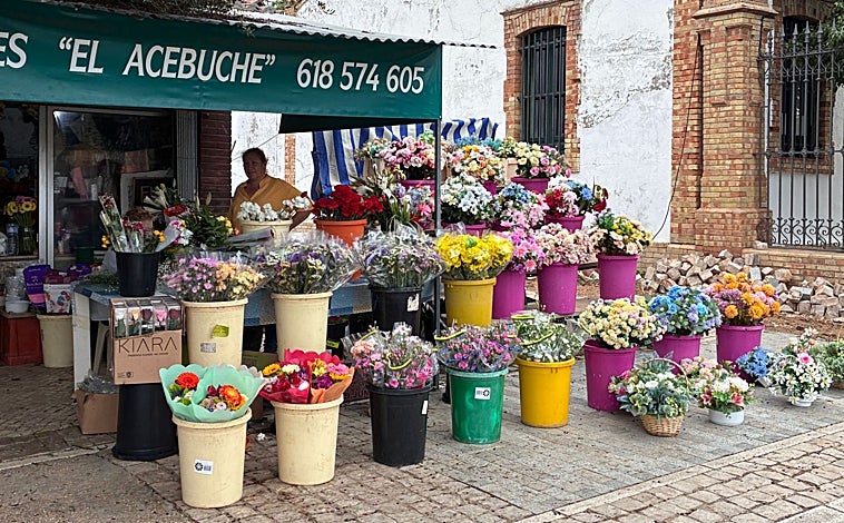 Imagen principal - Día de Todos los Santos en el cementerio de Huelva: «La docena de claveles está carísima»