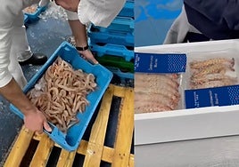 Una empresa de Huelva te manda el marisco fresco recién comprado directamente a tu casa: «¡Buena calidad y llega en perfecto estado!»