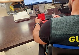 Agente de la Guardia Civil, ante un ordenador