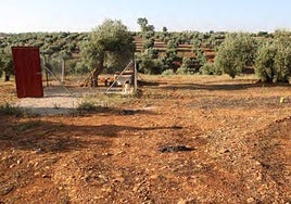 Comienza este lunes en Huelva el juicio por el atropello mortal de la reportera Alicia Rodríguez