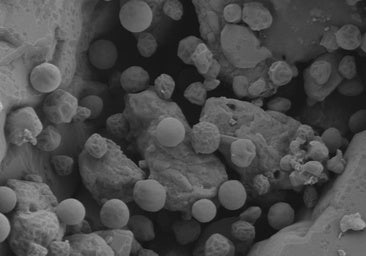 Investigadores de la Universidad de Huelva logran eliminar metales pesados del agua con microalgas