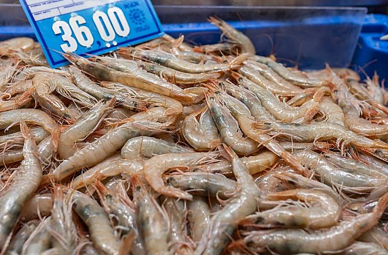 Gambas a 36 euros el kilo en Hermanos Peguero