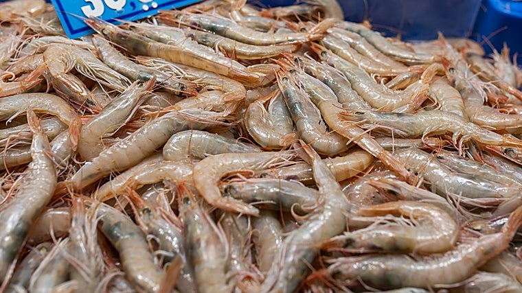 Iván Aragón, pescadero de Huelva, revela cuál será el marisco estrella esta Navidad: «En un kilo entran 6 o 7 piezas. Está gustando mucho y está teniendo salida»