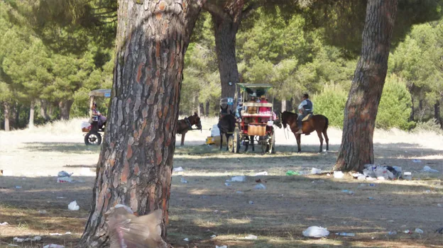La Diputación ha repartido bolsas de basura y cubas para la recogida de residuos durante los caminos a El Rocío