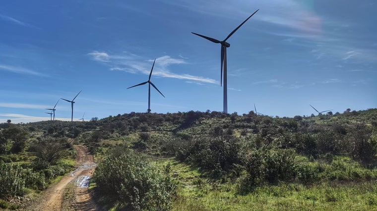 Esta es la desconocida ruta que te lleva a una de las cascadas más espectaculares de Huelva: «Es preciosa»