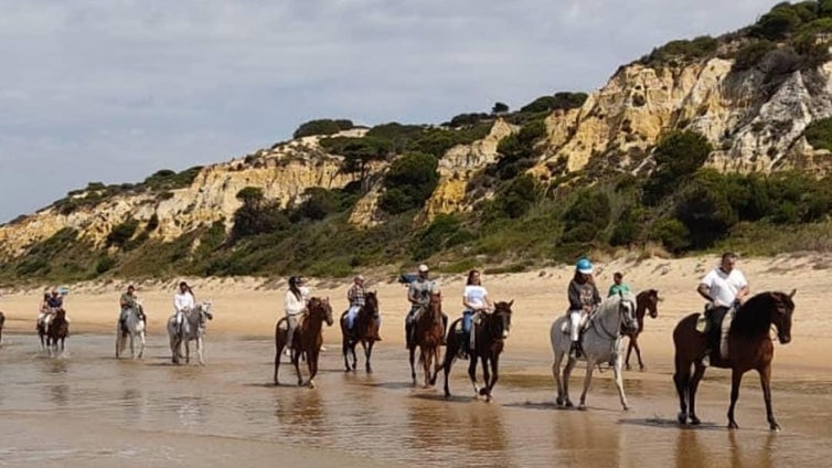 Paseos a caballo por Doñana en Huelva: ¿dónde puedo hacerlo, cuánto tiempo es y cuál es su precio?