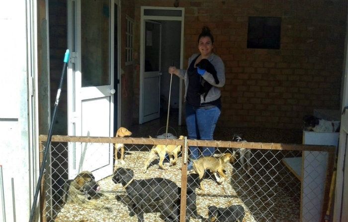 'Estamos desbordados y nos chantajean con abandonar animales si no los recogemos. Se aprovechan de nosotros'