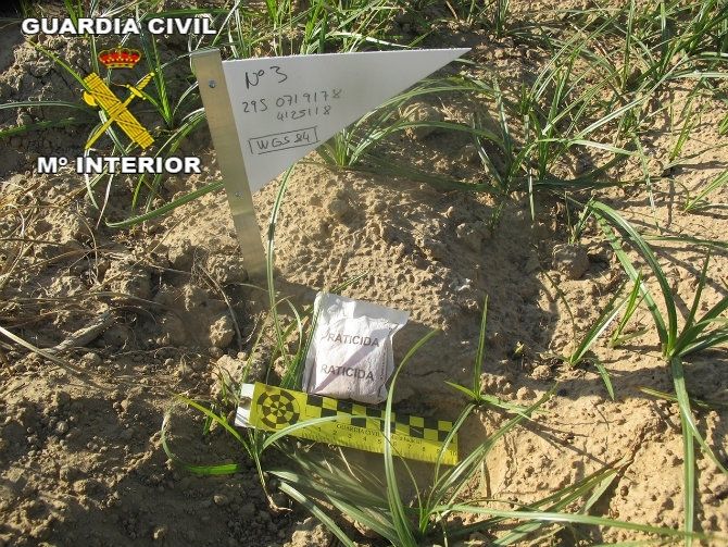 Imputan a un hombre por el uso de raticidas no autorizados en una finca de Almonte