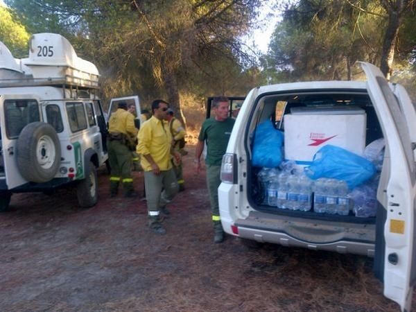 El incendio de Cartaya queda estabilizado tras calcinar unas 100 hectáreas