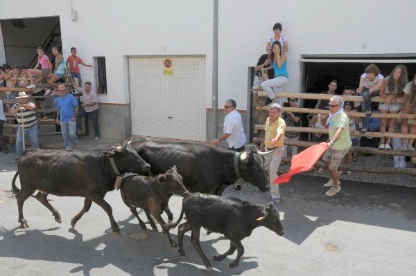 Niebla celebra desde este martes y hasta el próximo lunes sus fiestas patronales