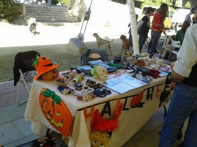 Mucha diversión en el Halloween más animal