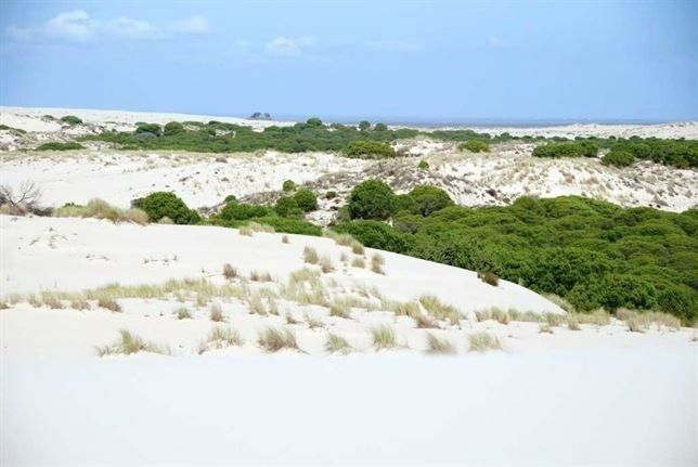 Una misión liderada por la Unesco visita Doñana para comprobar el cumplimiento de la conservación del entorno