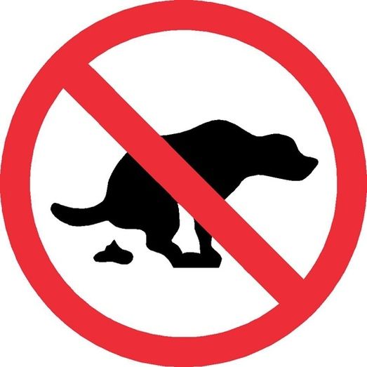 El runrún: Las cacas de perro, tarea para el CSI